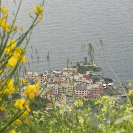 Ca Gialla De Drignana Vernazza Luaran gambar