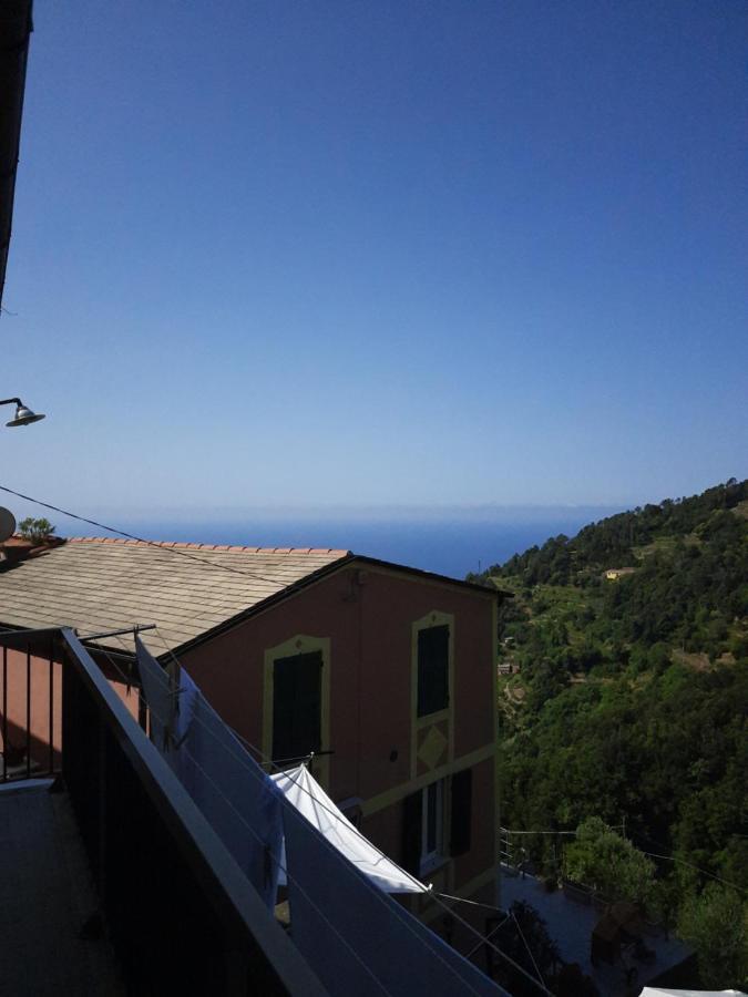 Ca Gialla De Drignana Vernazza Luaran gambar