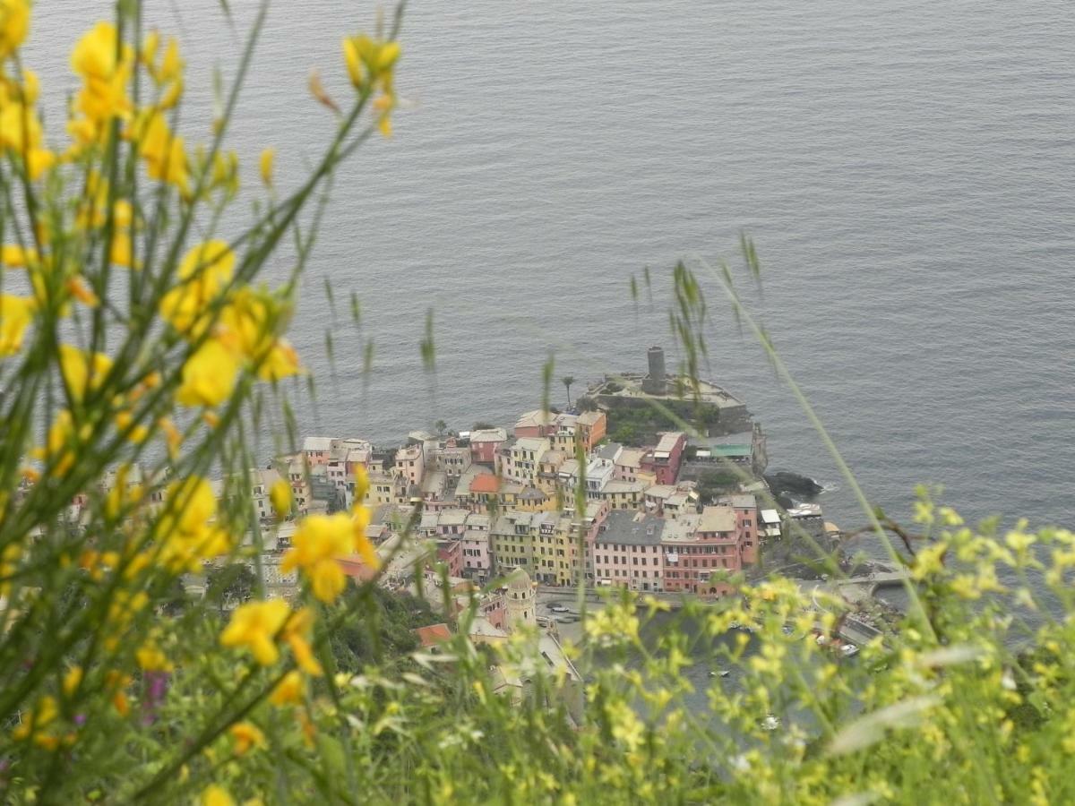 Ca Gialla De Drignana Vernazza Luaran gambar