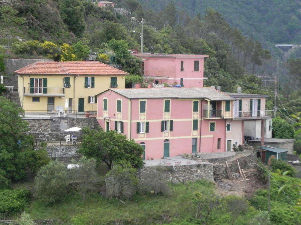 Ca Gialla De Drignana Vernazza Luaran gambar