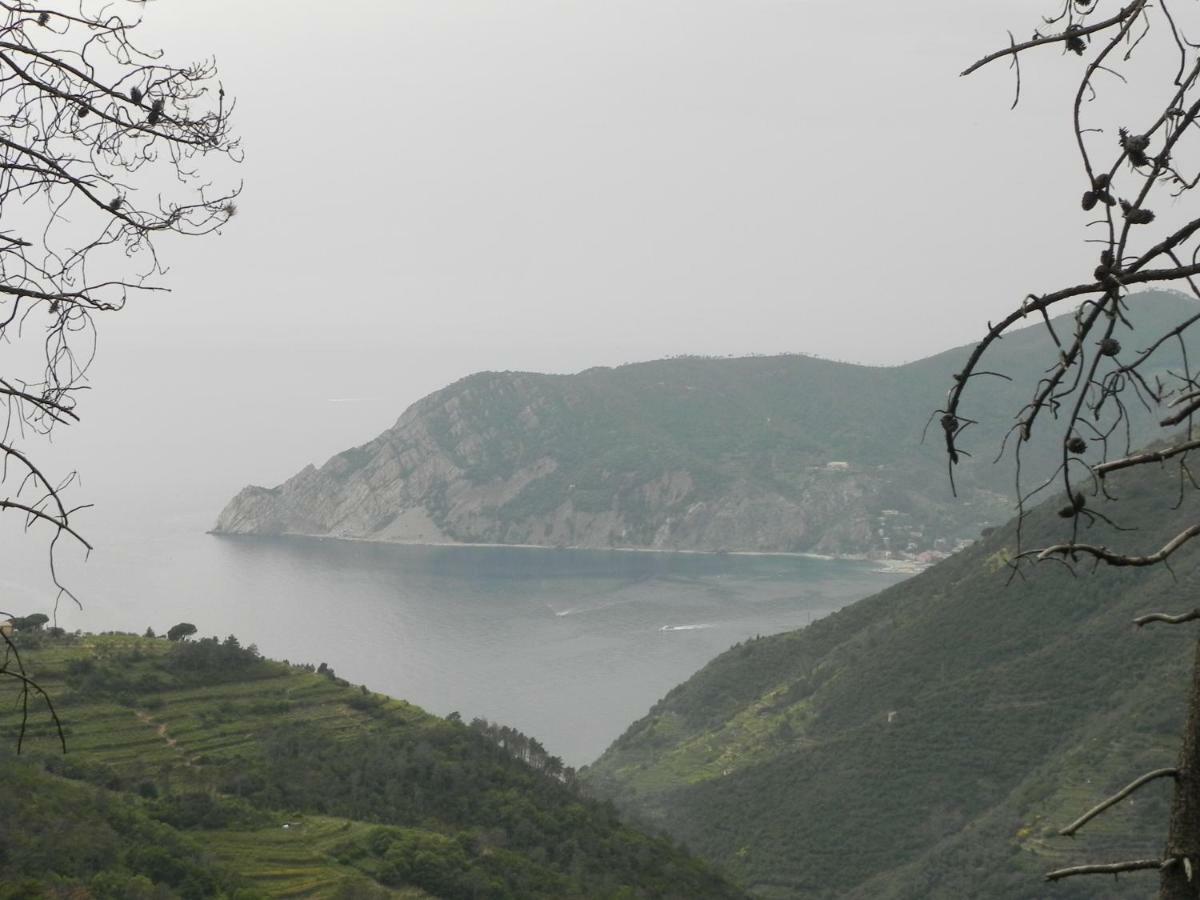 Ca Gialla De Drignana Vernazza Luaran gambar